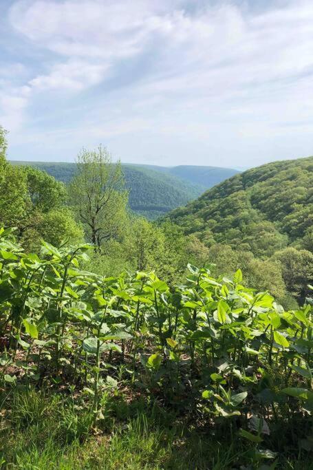 2 Bedroom 2 Bathroom - Blue Knob All Season Resort Condo Claysburg Buitenkant foto
